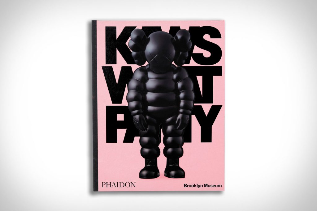 kaws what party 1 1